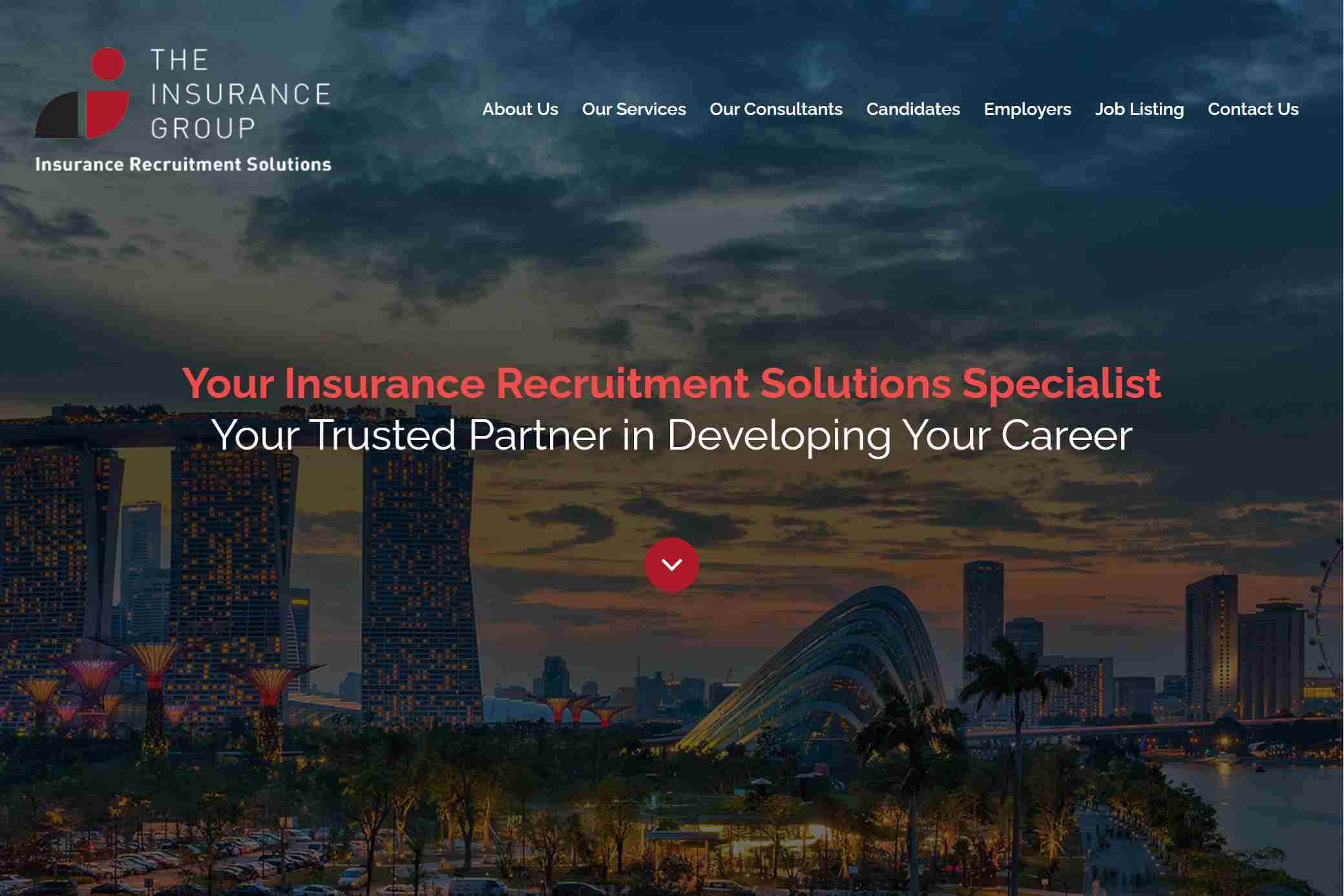 The Insurance Group