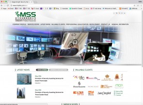 Megastrength Security(Henderson Group)